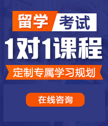 操死你这个骚货视频留学考试一对一精品课